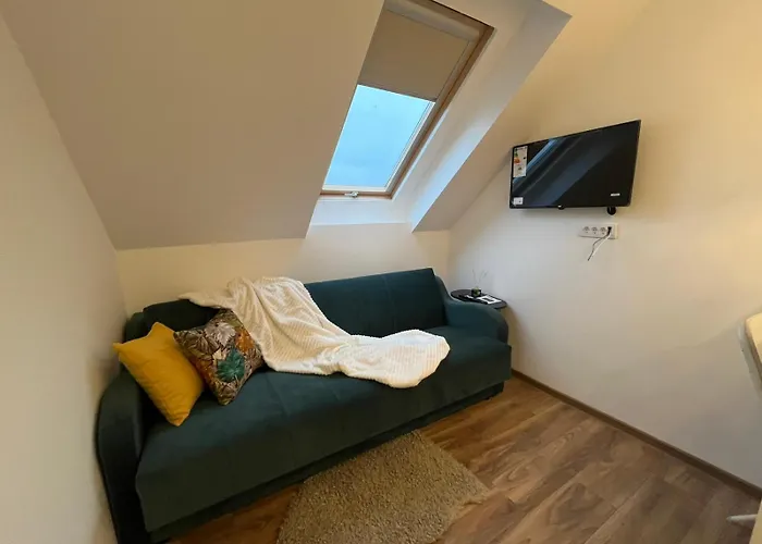 Bajic * ヴルシャツ