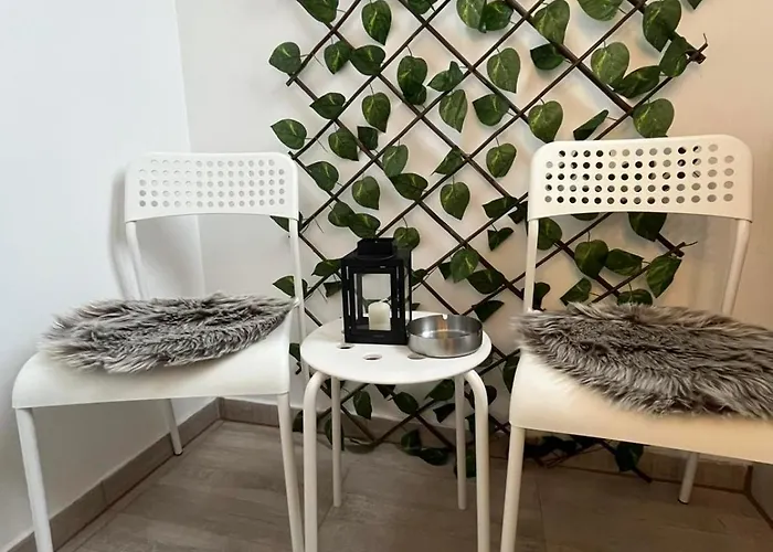 Bajic アパート ヴルシャツ