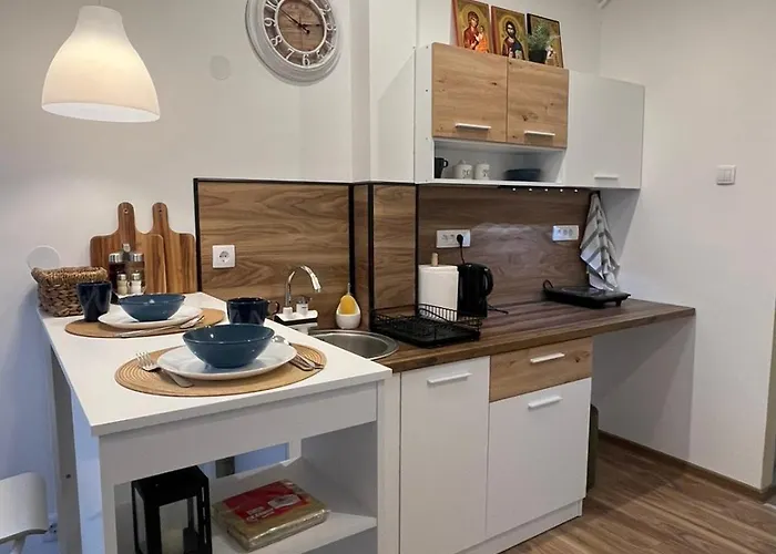 Bajic ヴルシャツ