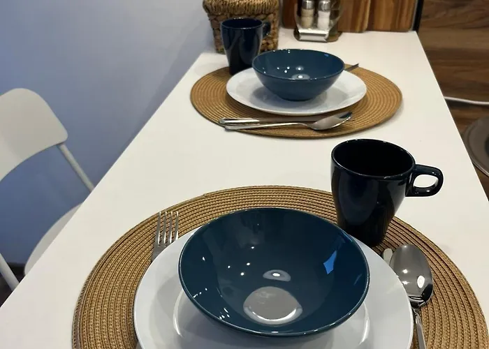 Bajic * ヴルシャツ